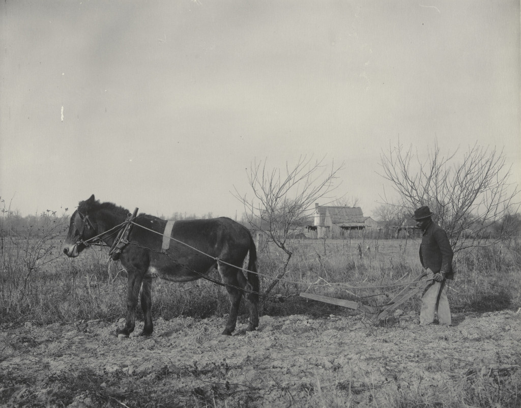 Plowing after the old method