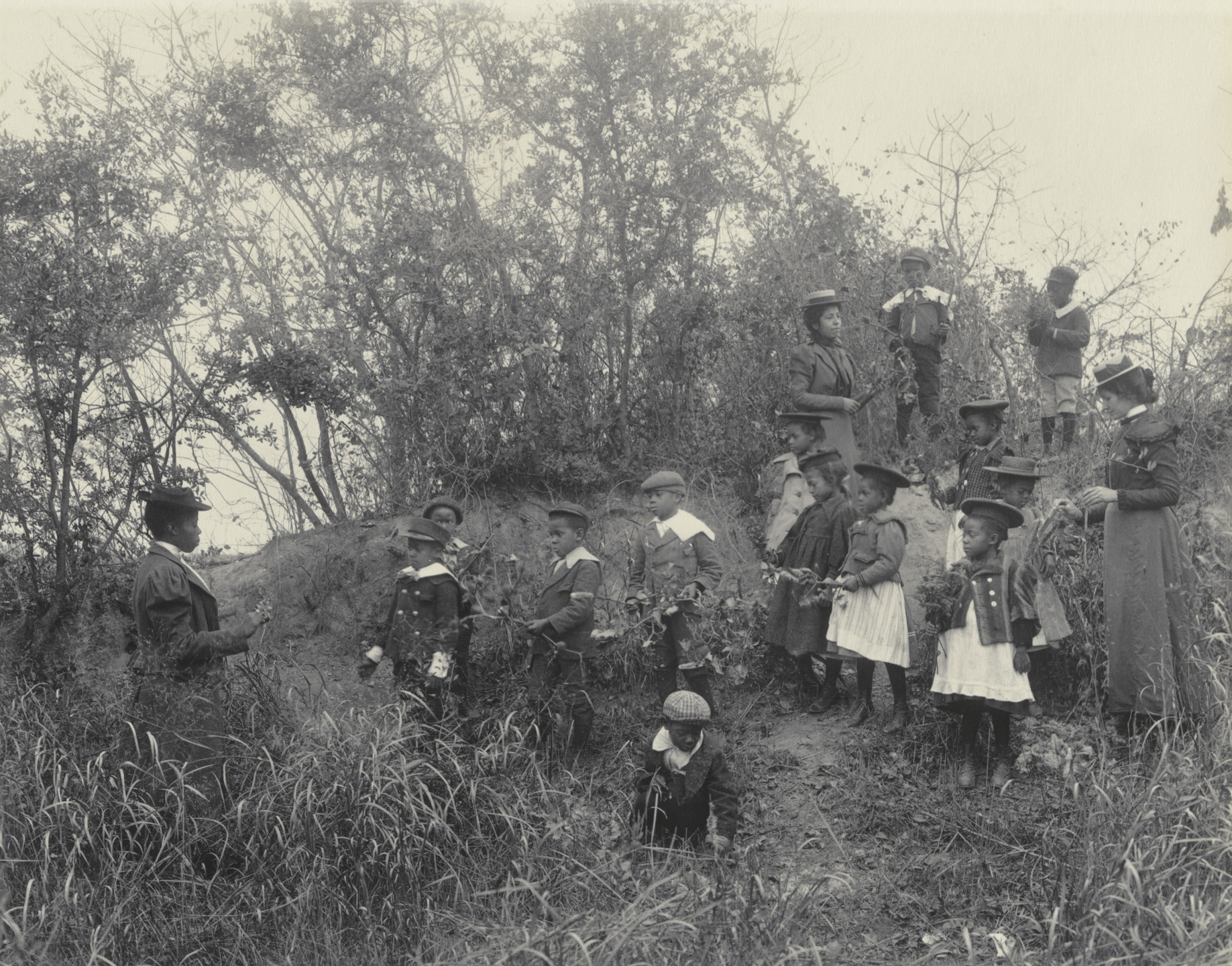 Frances Benjamin Johnston. Primary class studying plants. Whittier School. 1899-1900