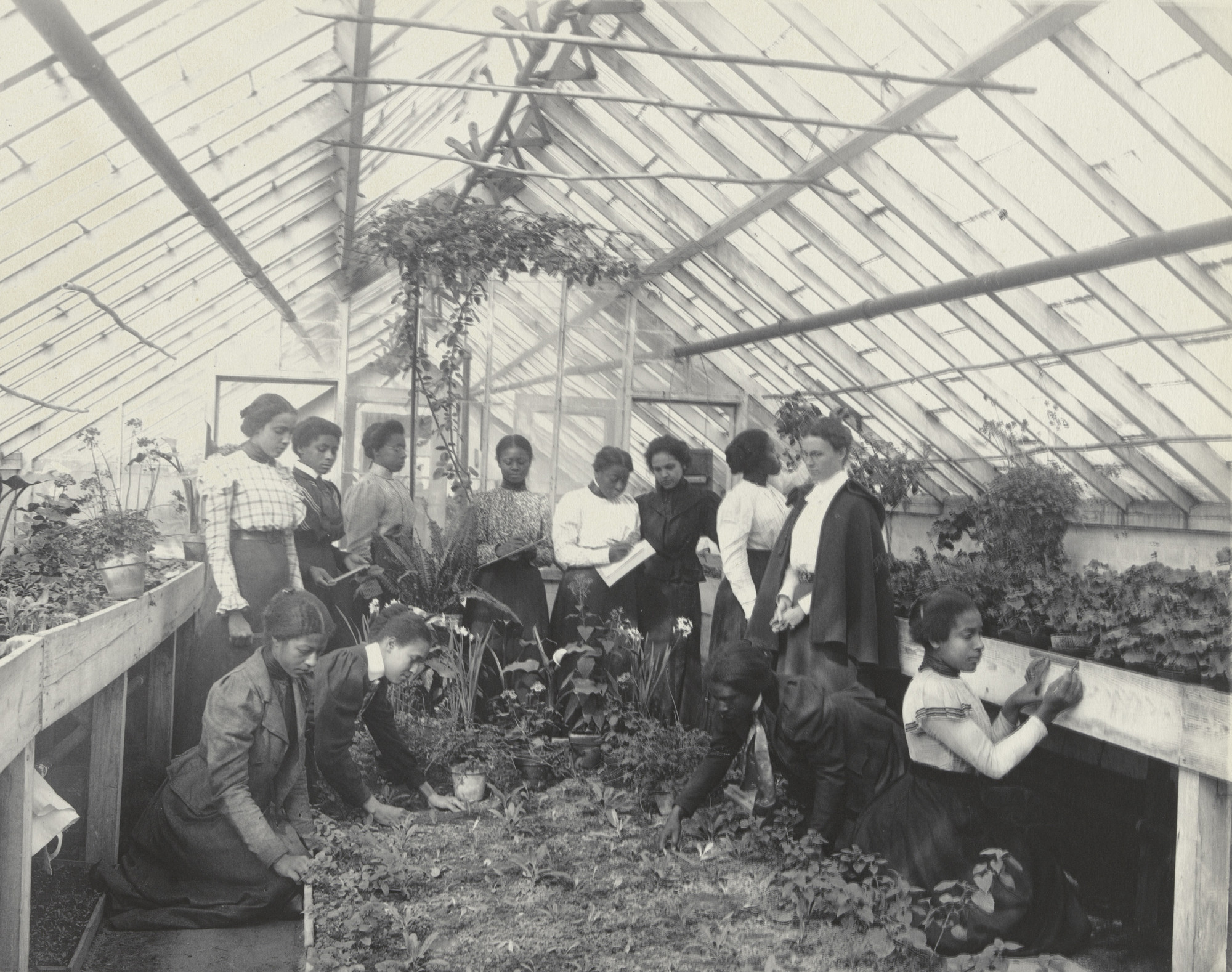 Frances Benjamin Johnston. Arithmetic. Measuring for estimates