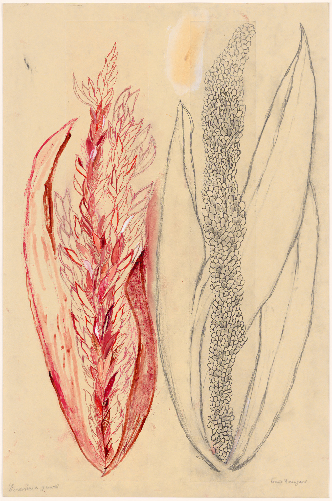 Louise Bourgeois. Eccentric Growth I