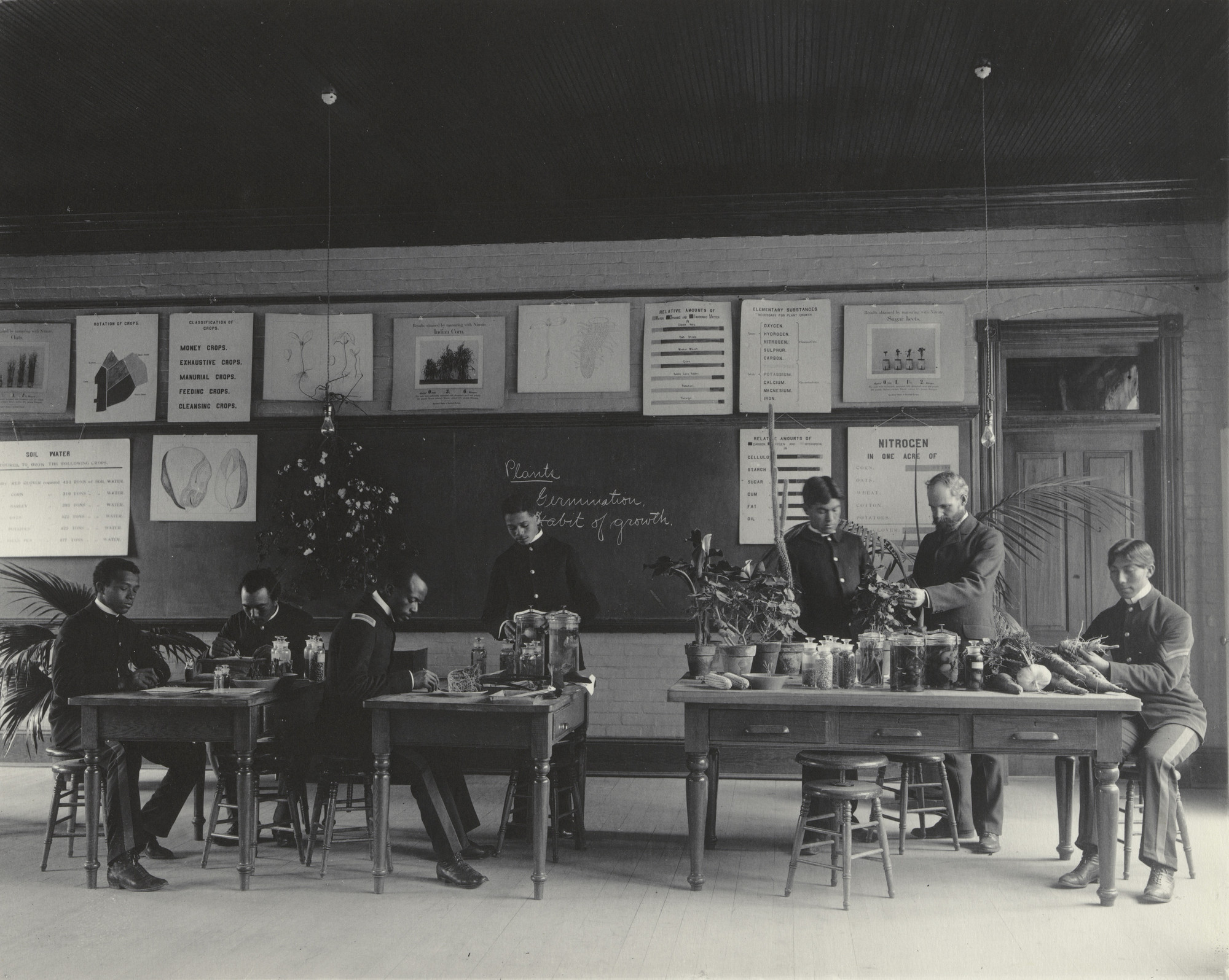 Frances Benjamin Johnston. Agriculture. Plant life. Studying the seed