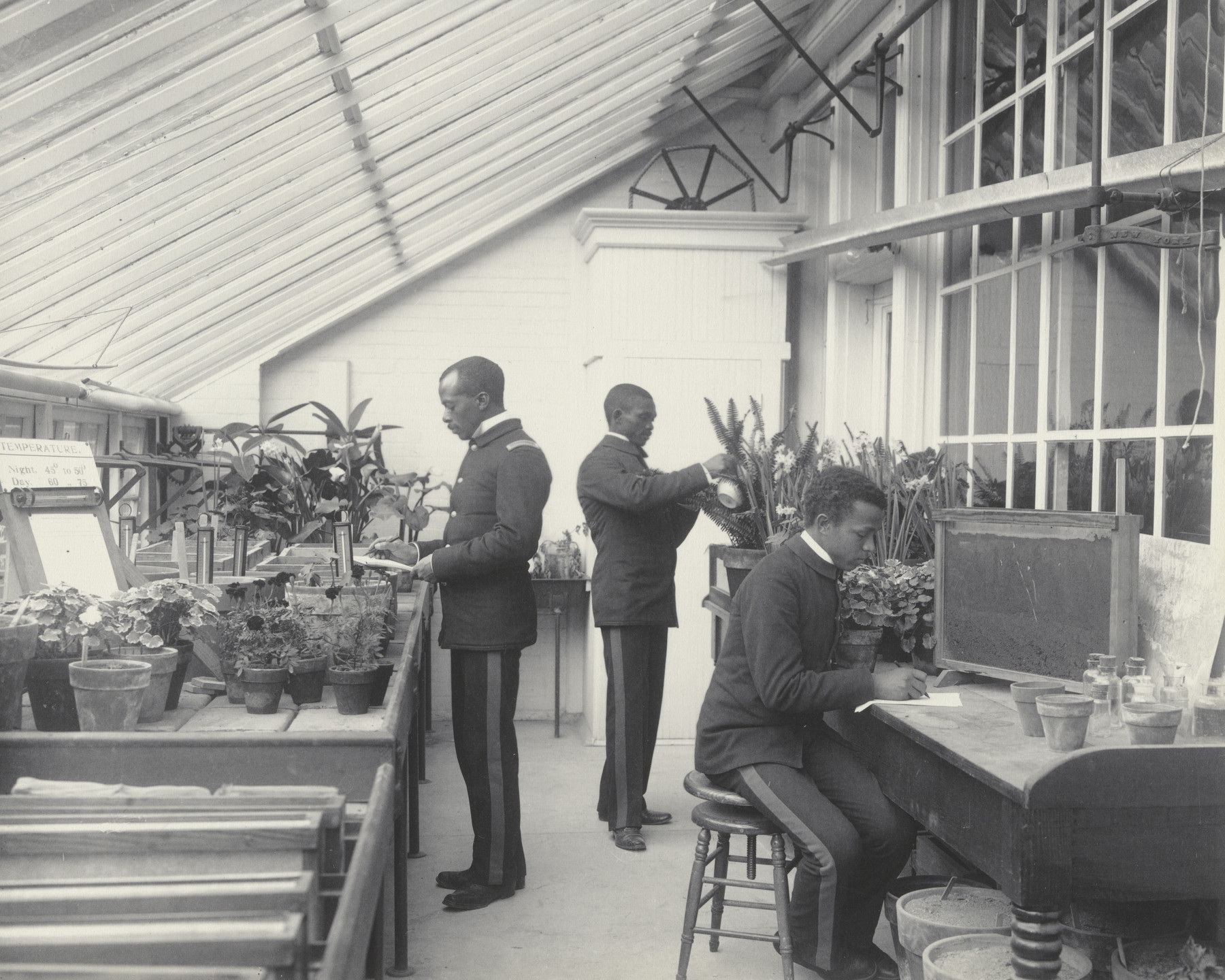 Frances Benjamin Johnston. Agriculture - Plant life. Experiments with plants and soil. 1899-1900