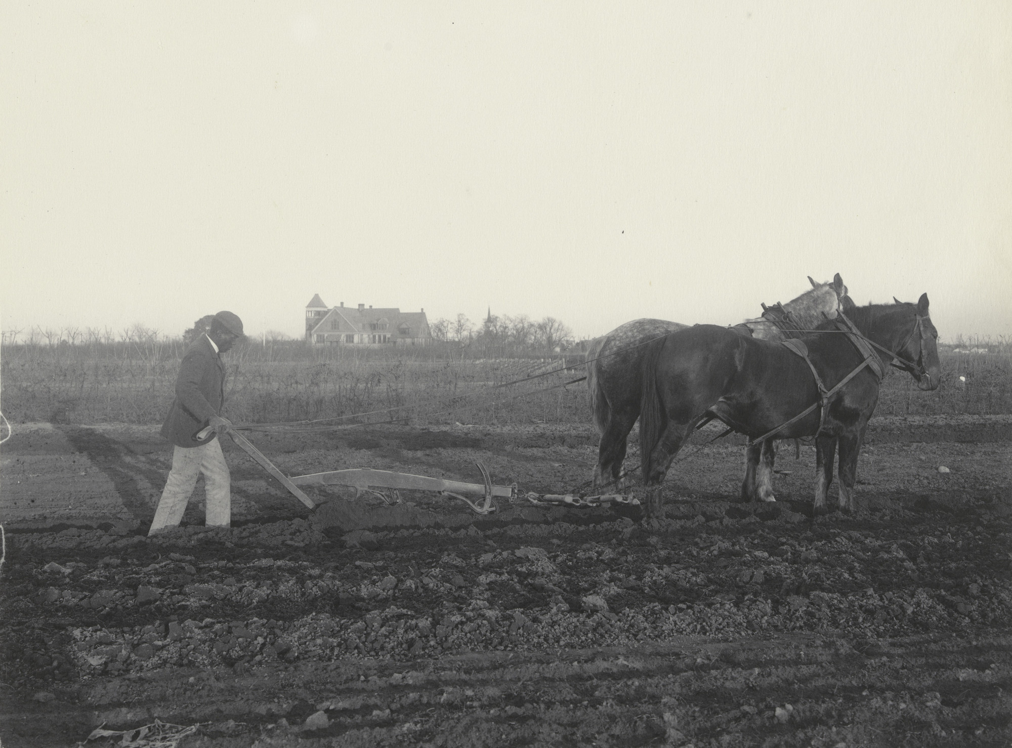 Frances Benjamin Johnston. Plowing by the scientific method