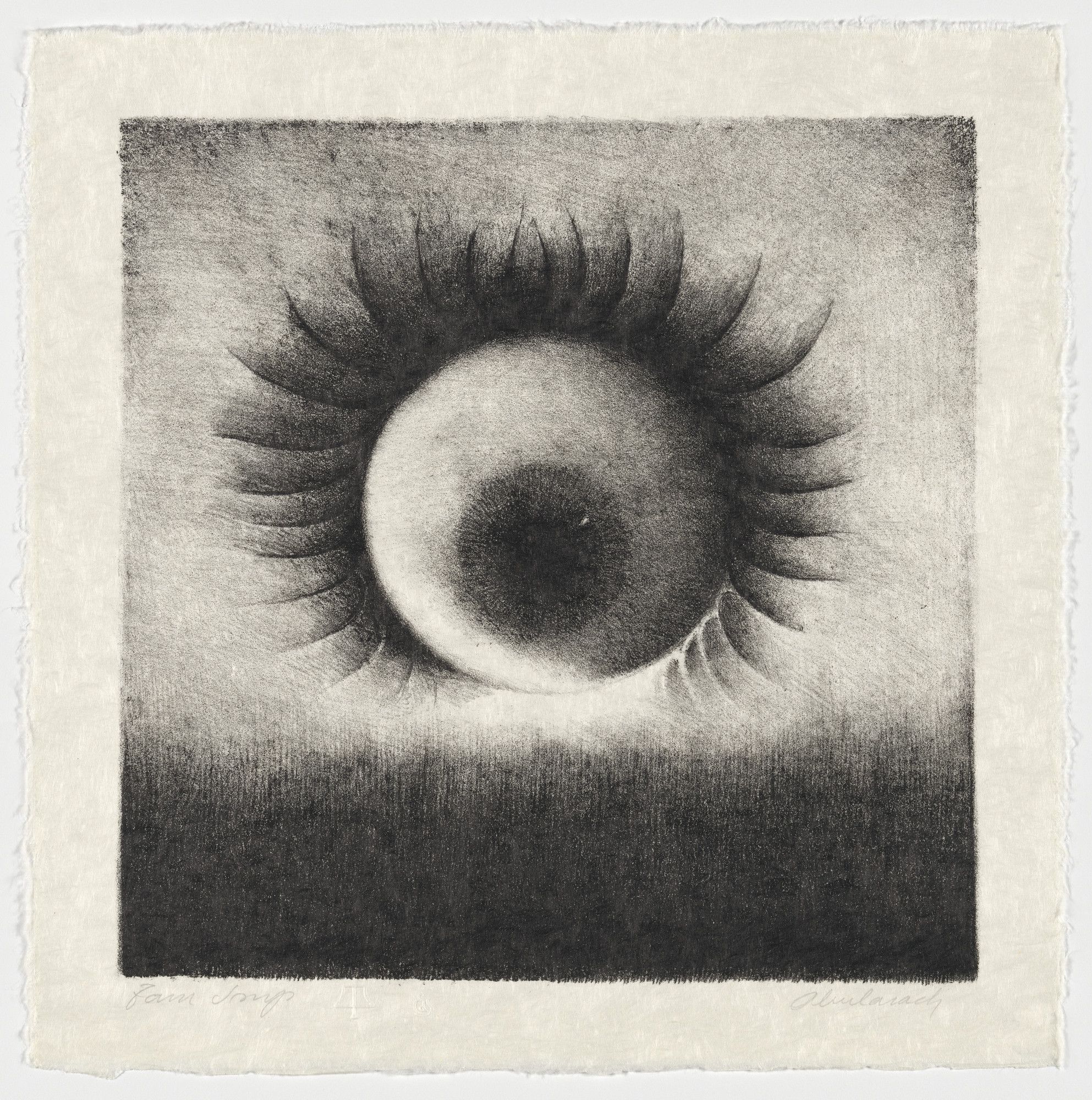 Rodolfo Abularach. Untitled from City of Eyes