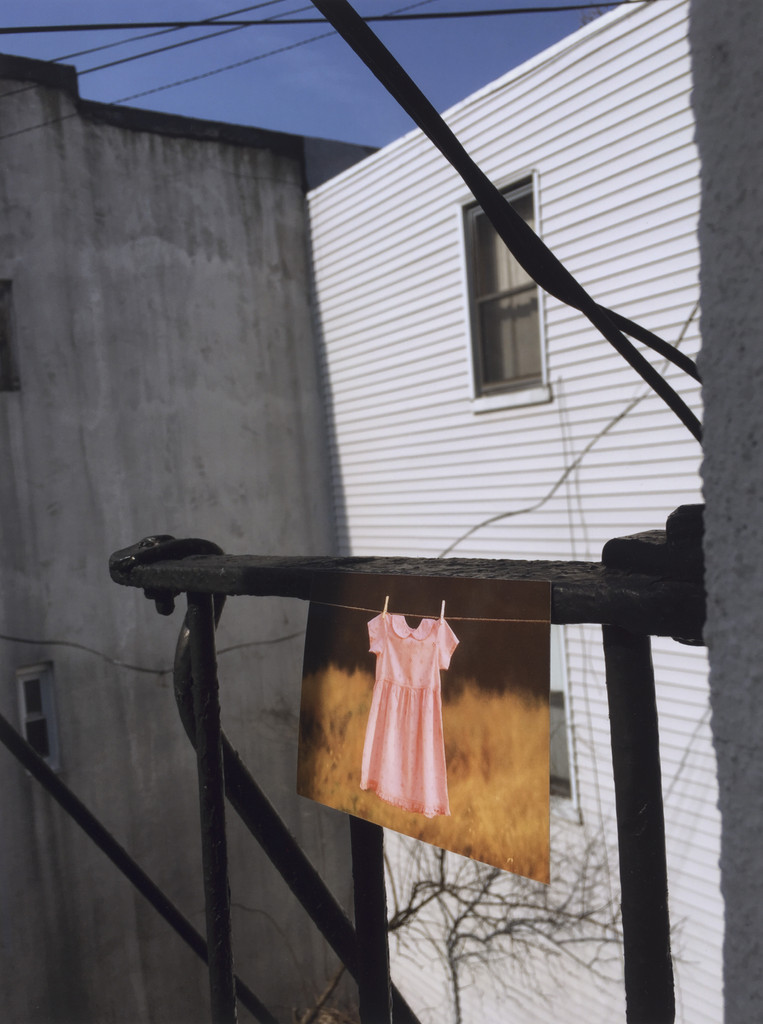 Have you seen my language?