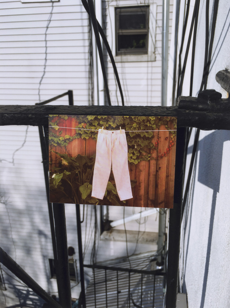 Have you seen my language?