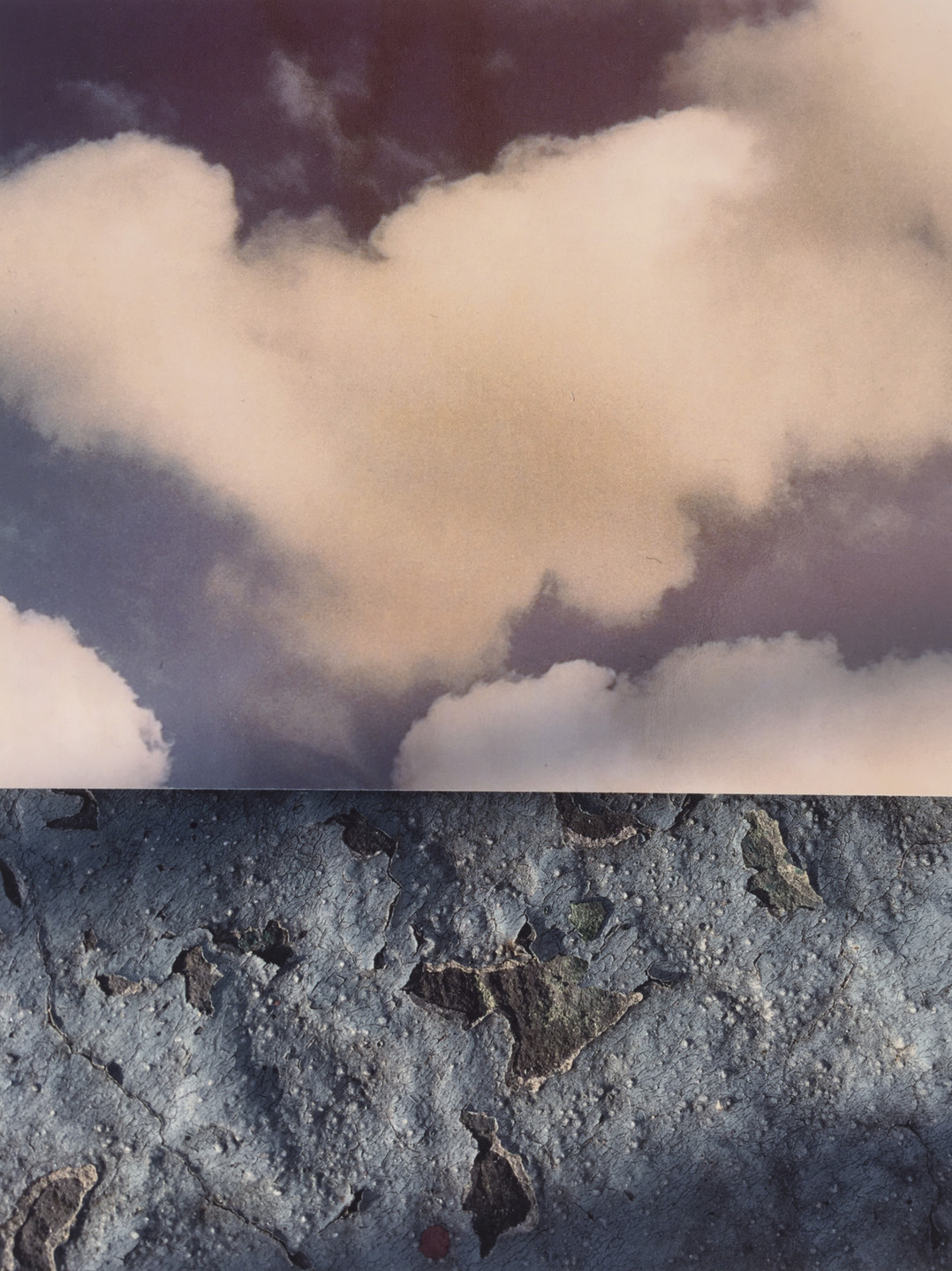 Matt Keegan. Have you seen my language?. 2016