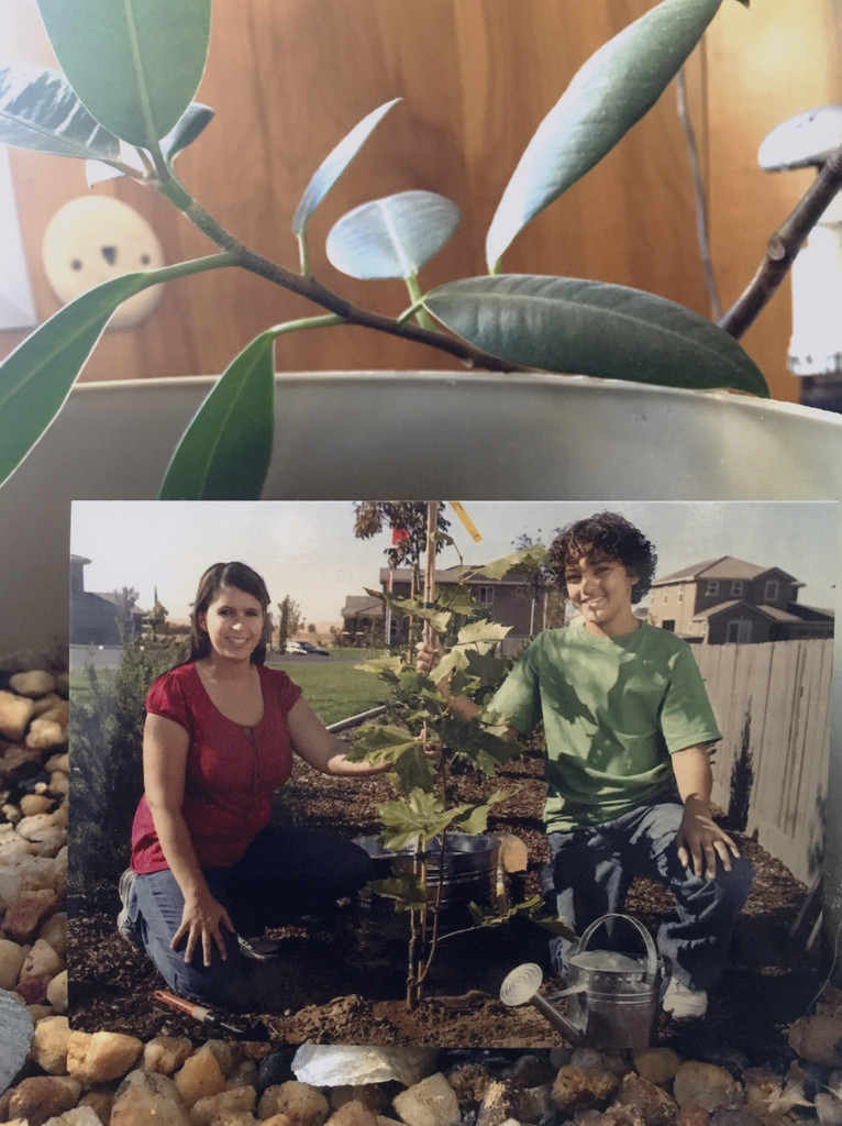 Have you seen my language?