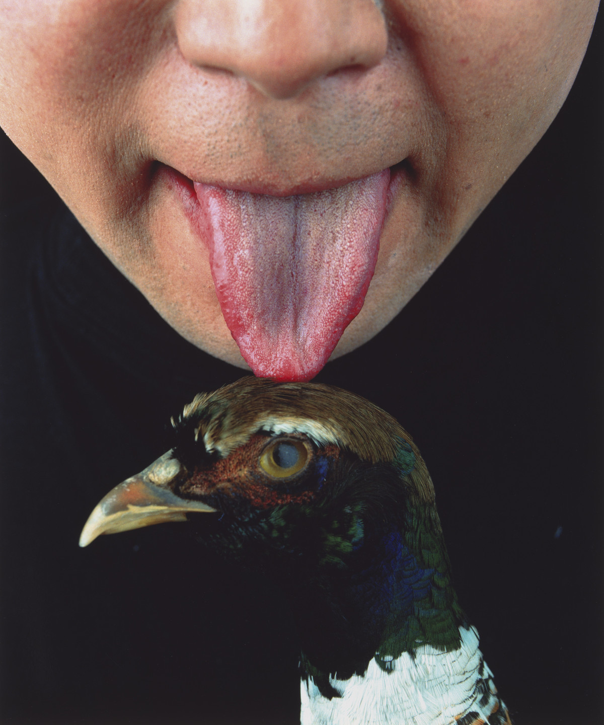 Cang Xin. Untitled from Communication Series 2. 1999