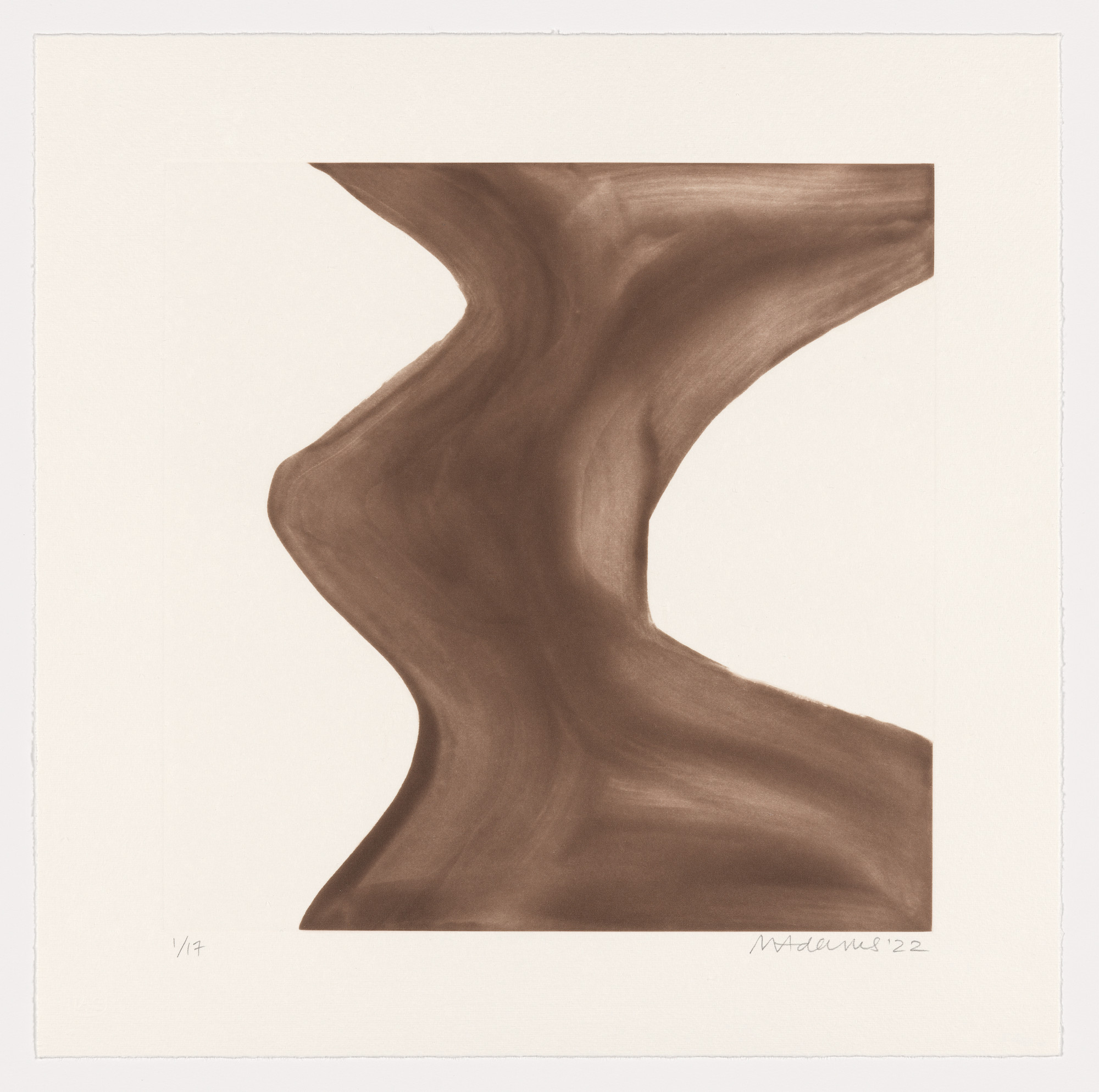 Marina Adams. NY Series (Etchings) Bistre