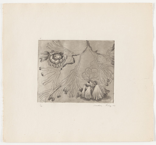 Untitled from The Flowering Rock