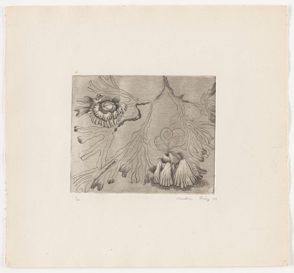 Untitled from The Flowering Rock