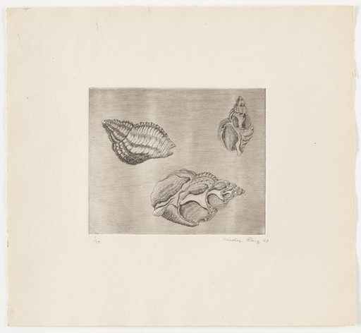 Untitled from The Flowering Rock