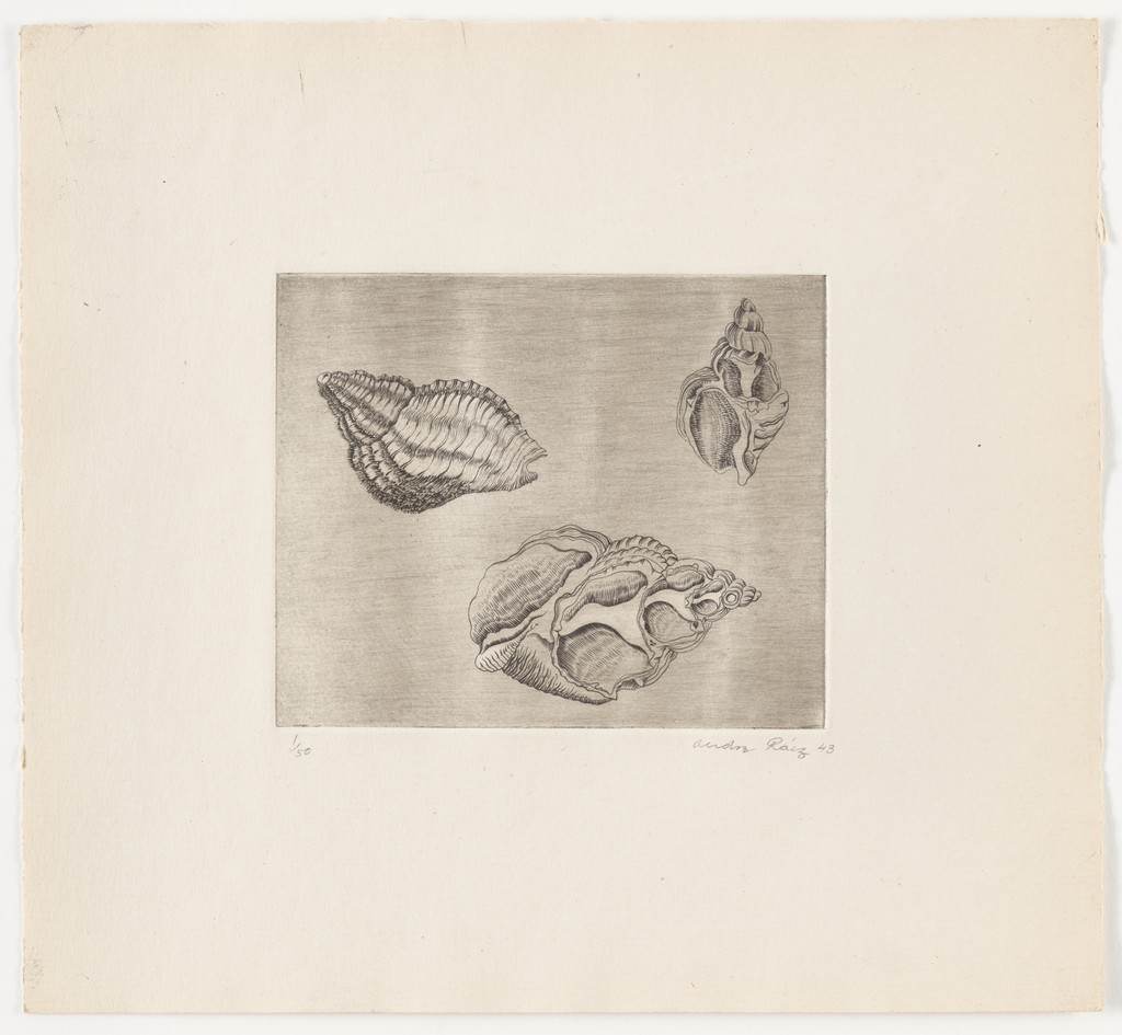 Untitled from The Flowering Rock