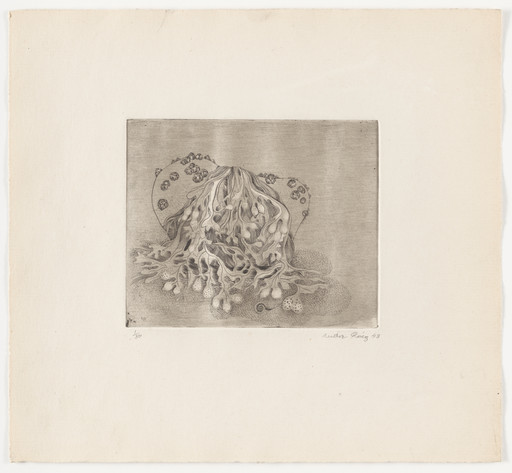 Untitled from The Flowering Rock