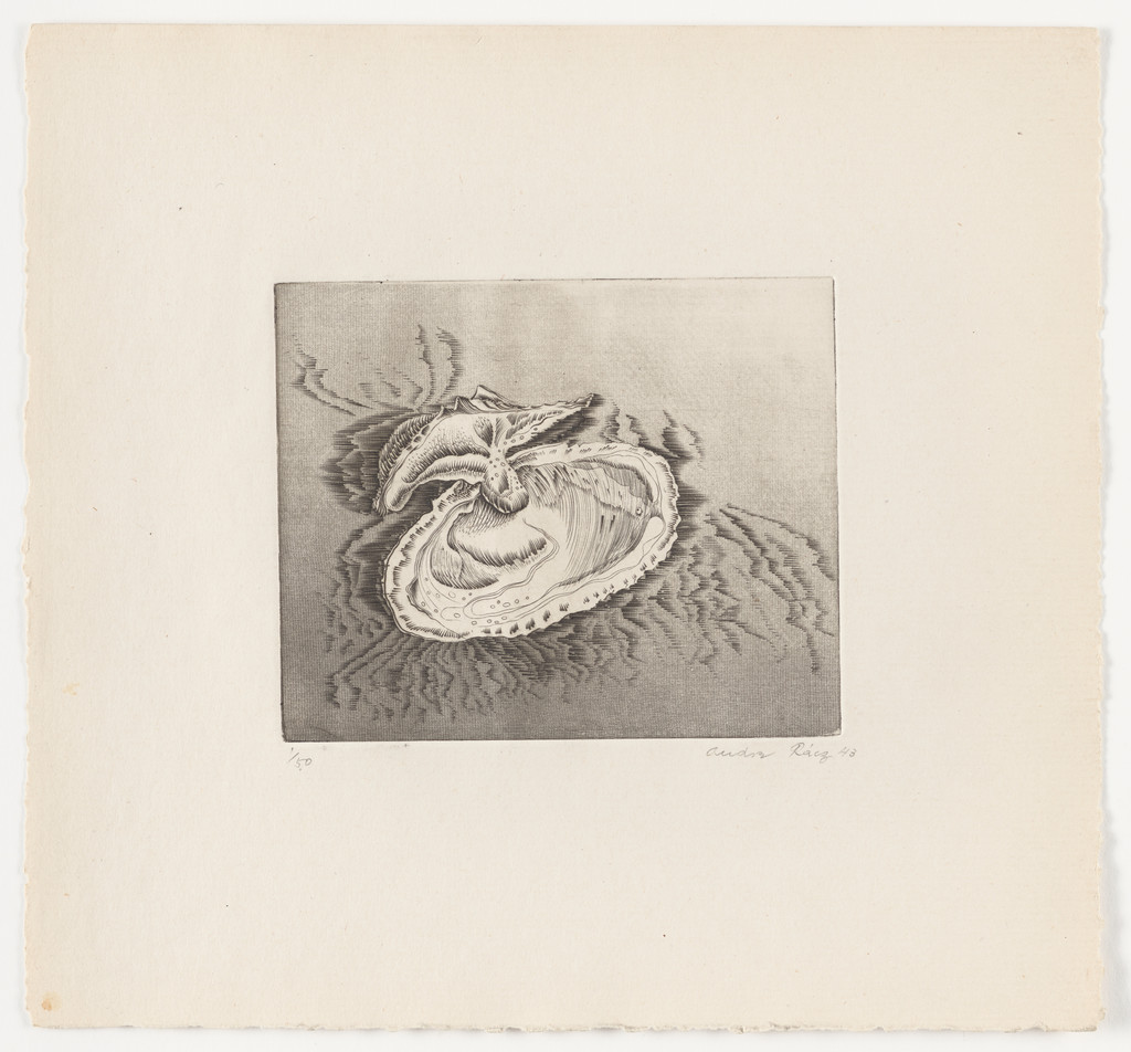 Untitled from The Flowering Rock