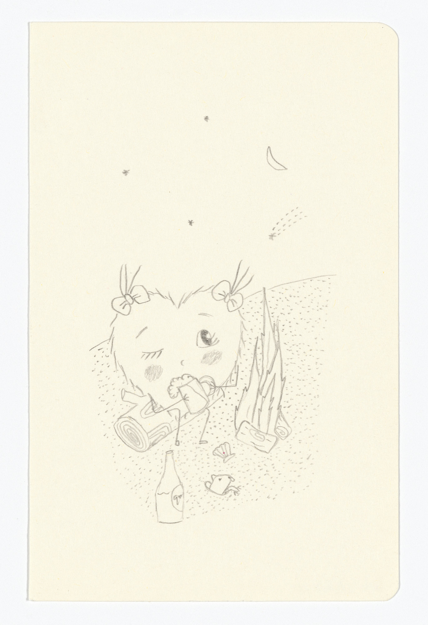 Fernanda Laguna. Untitled from The Moleskine Series