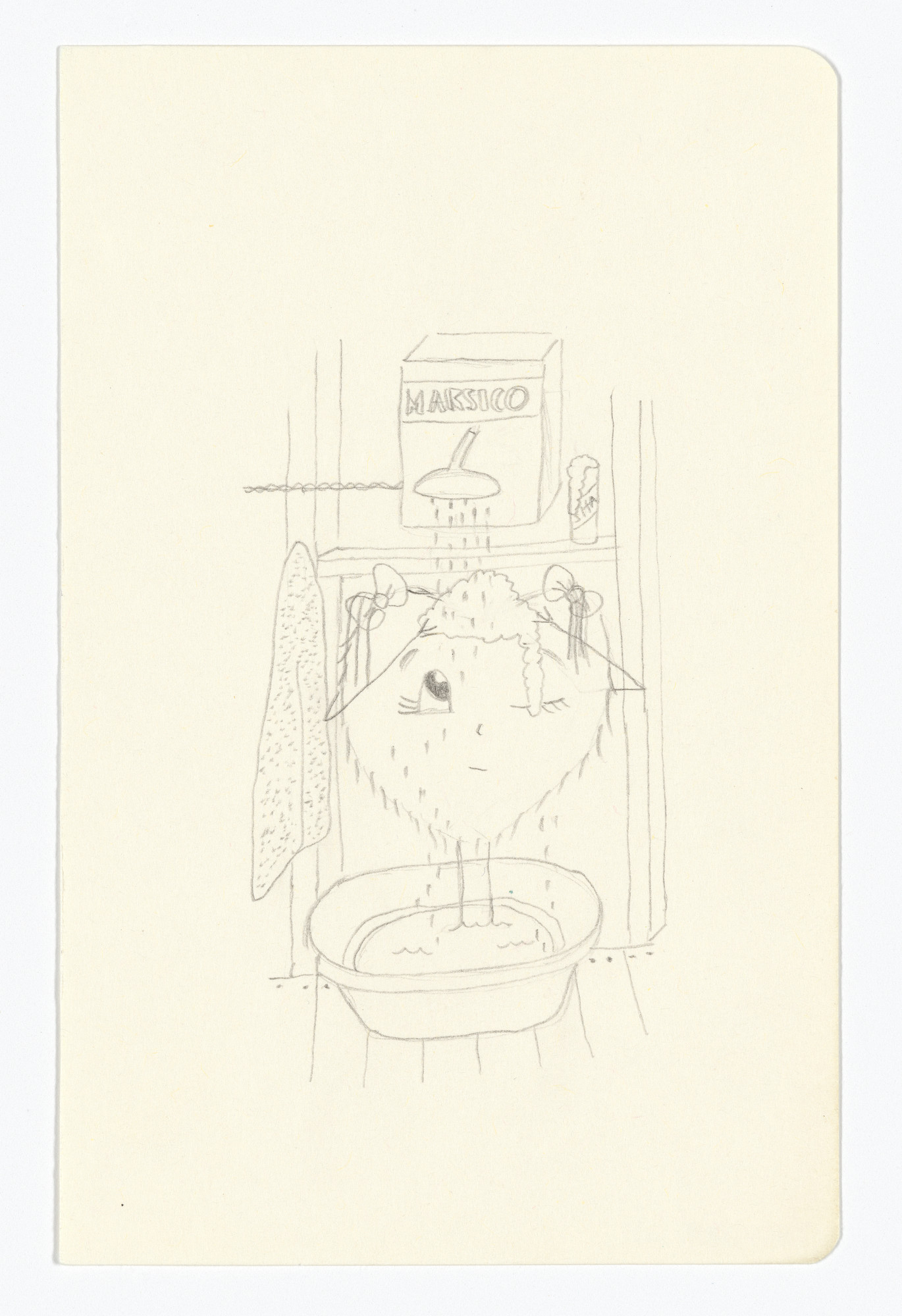 Fernanda Laguna. Untitled from The Moleskine Series