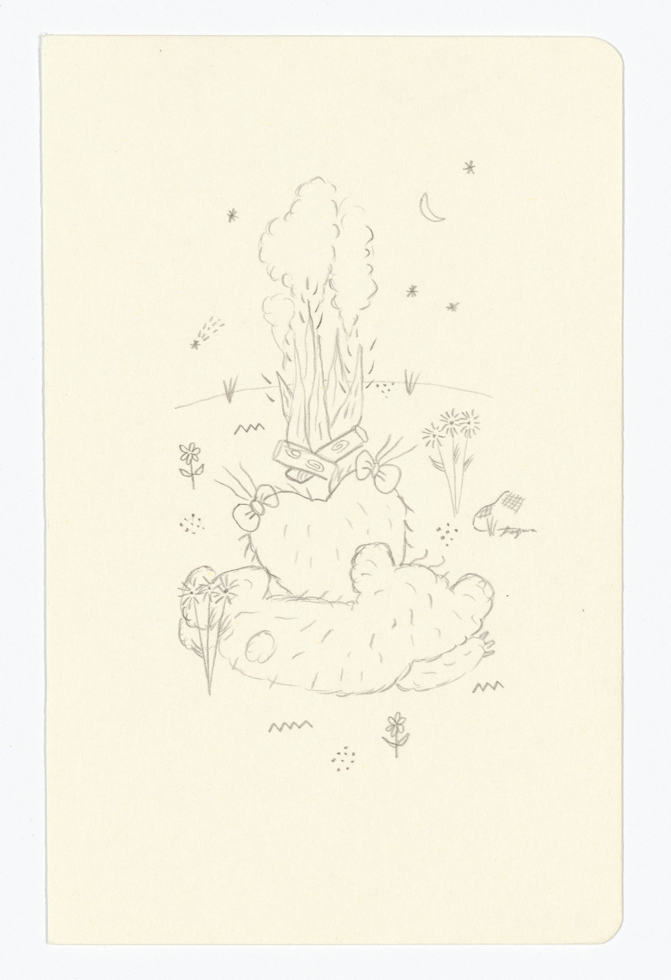 Fernanda Laguna. Untitled from The Moleskine Series