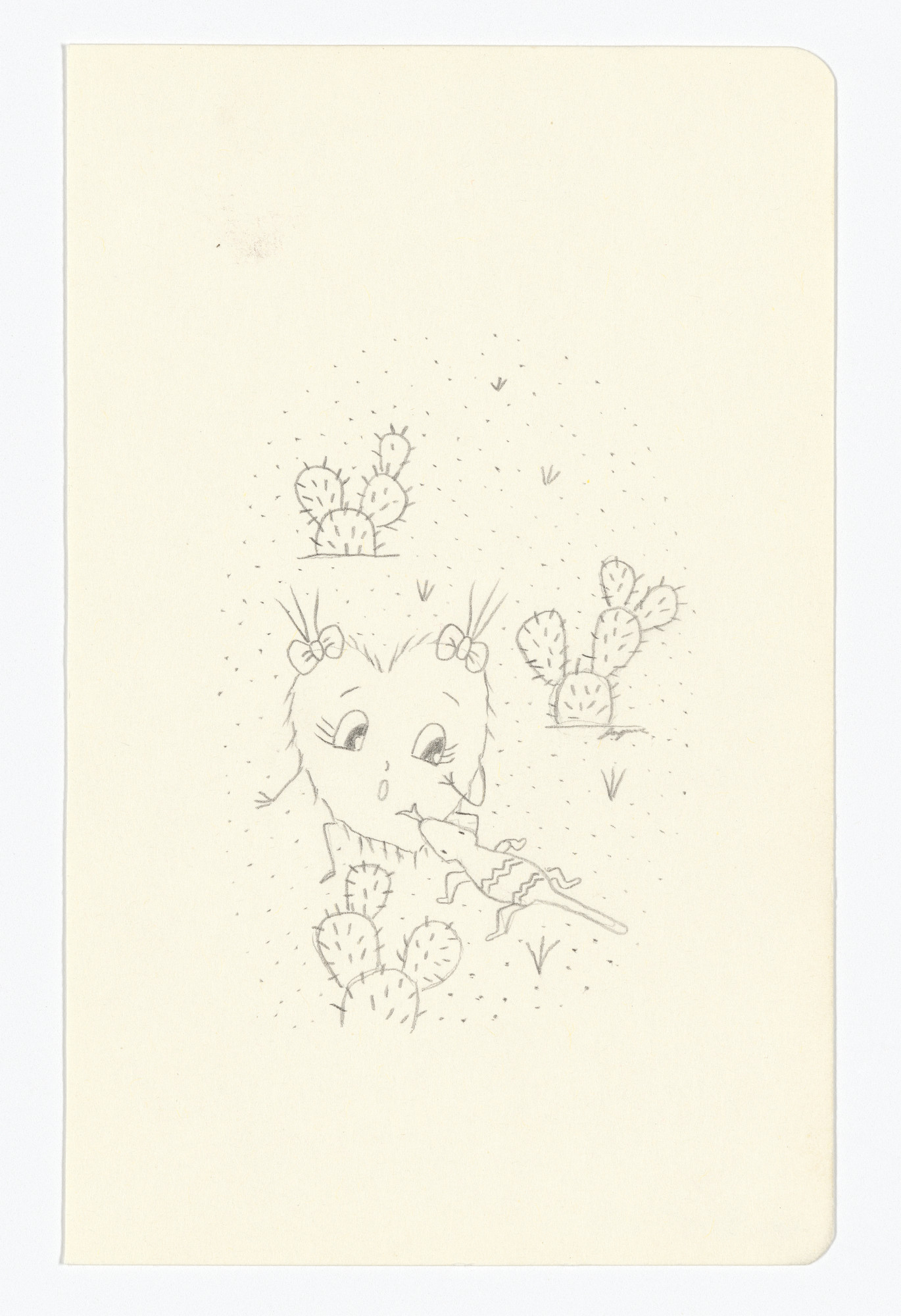 Fernanda Laguna. Untitled from The Moleskine Series