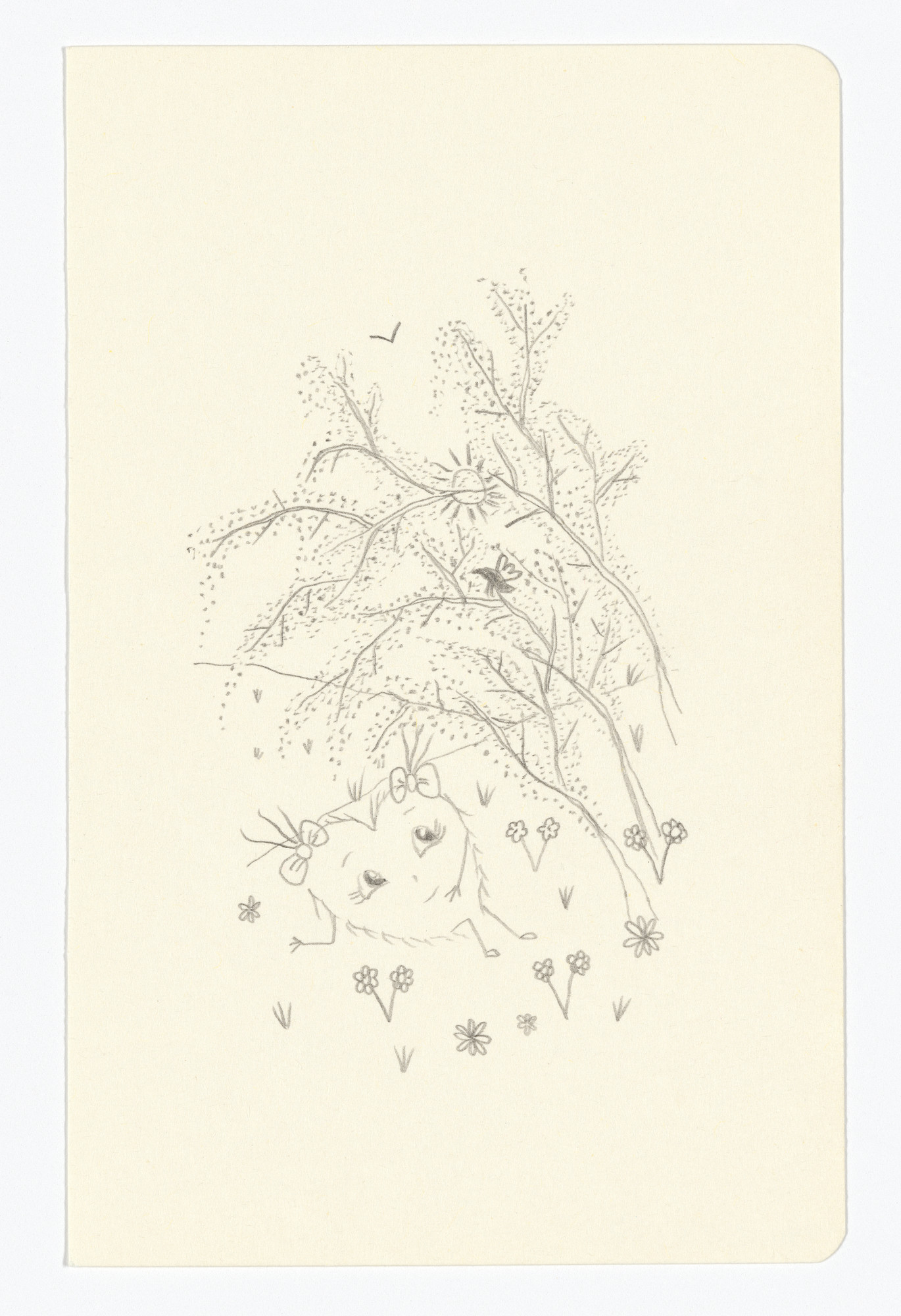 Fernanda Laguna. Untitled from The Moleskine Series