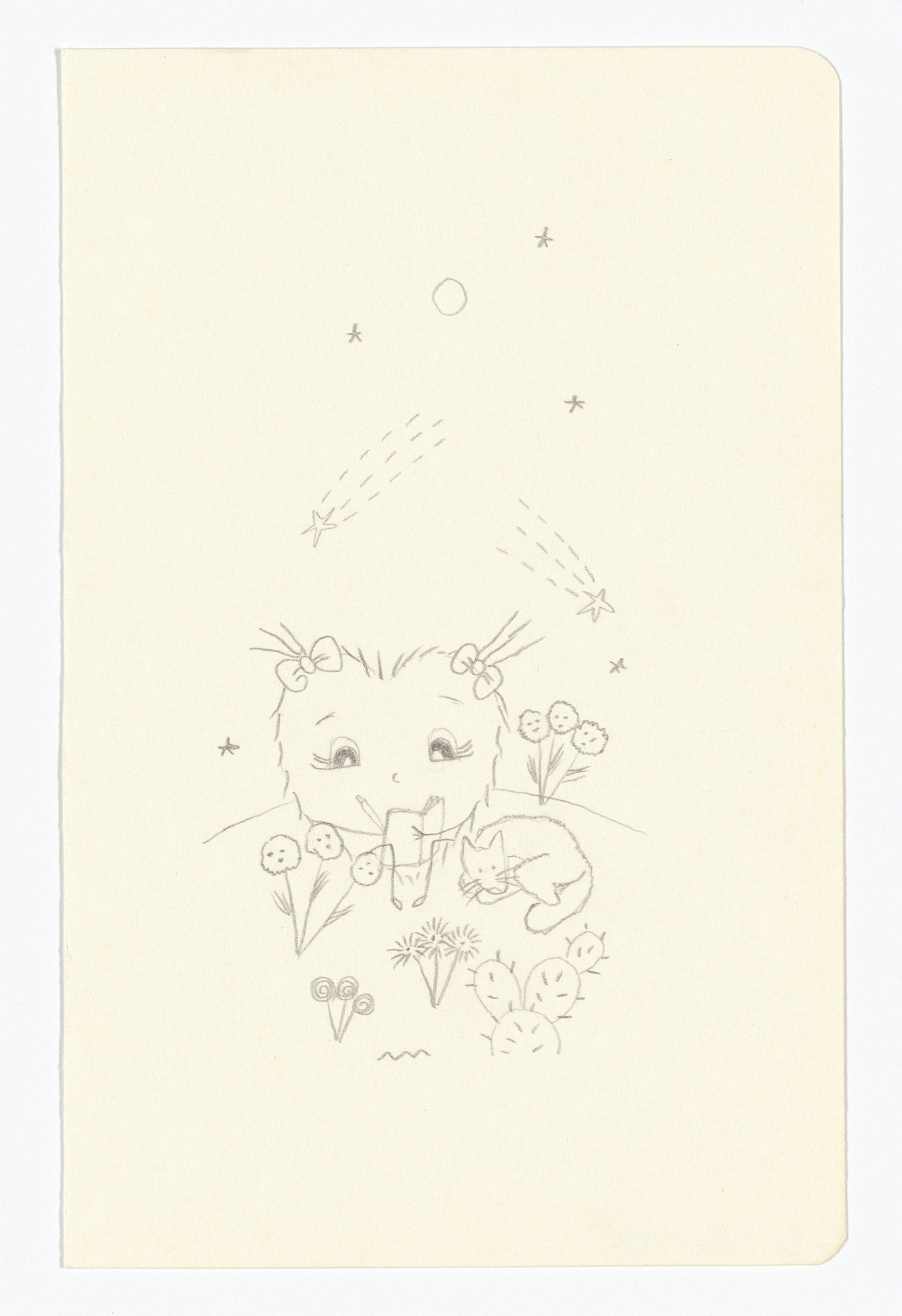 Fernanda Laguna. Untitled from The Moleskine Series