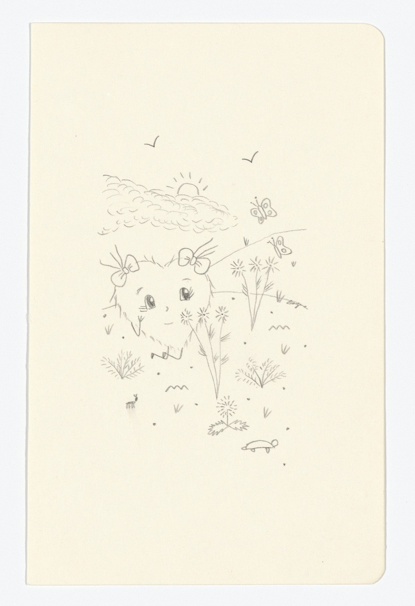 Fernanda Laguna. Untitled from The Moleskine Series