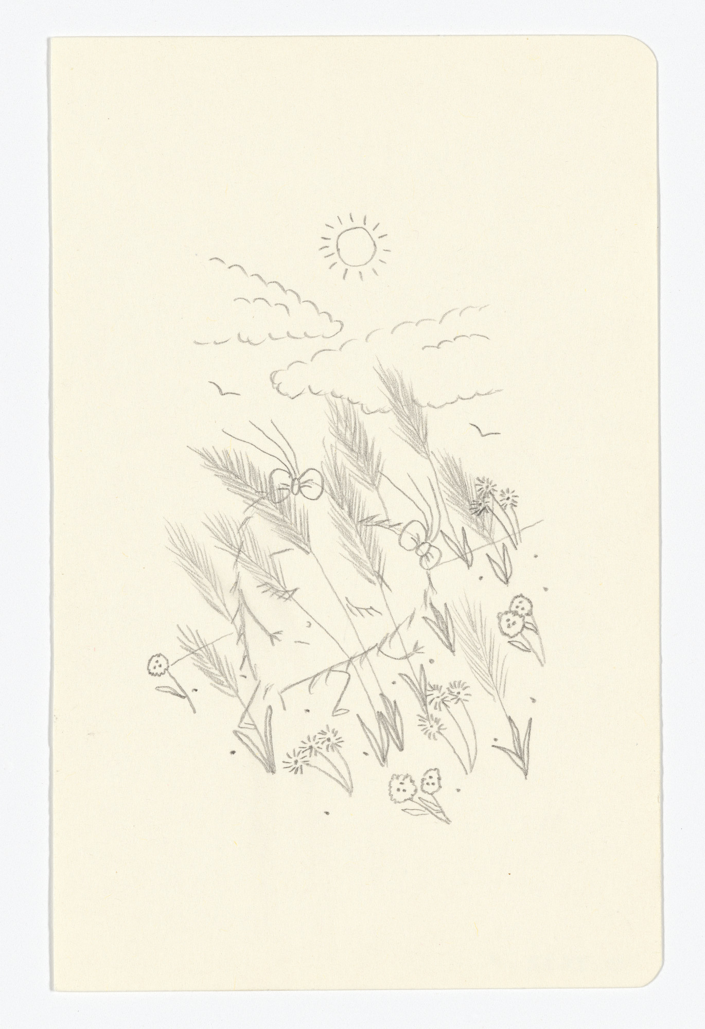 Fernanda Laguna. Untitled from The Moleskine Series