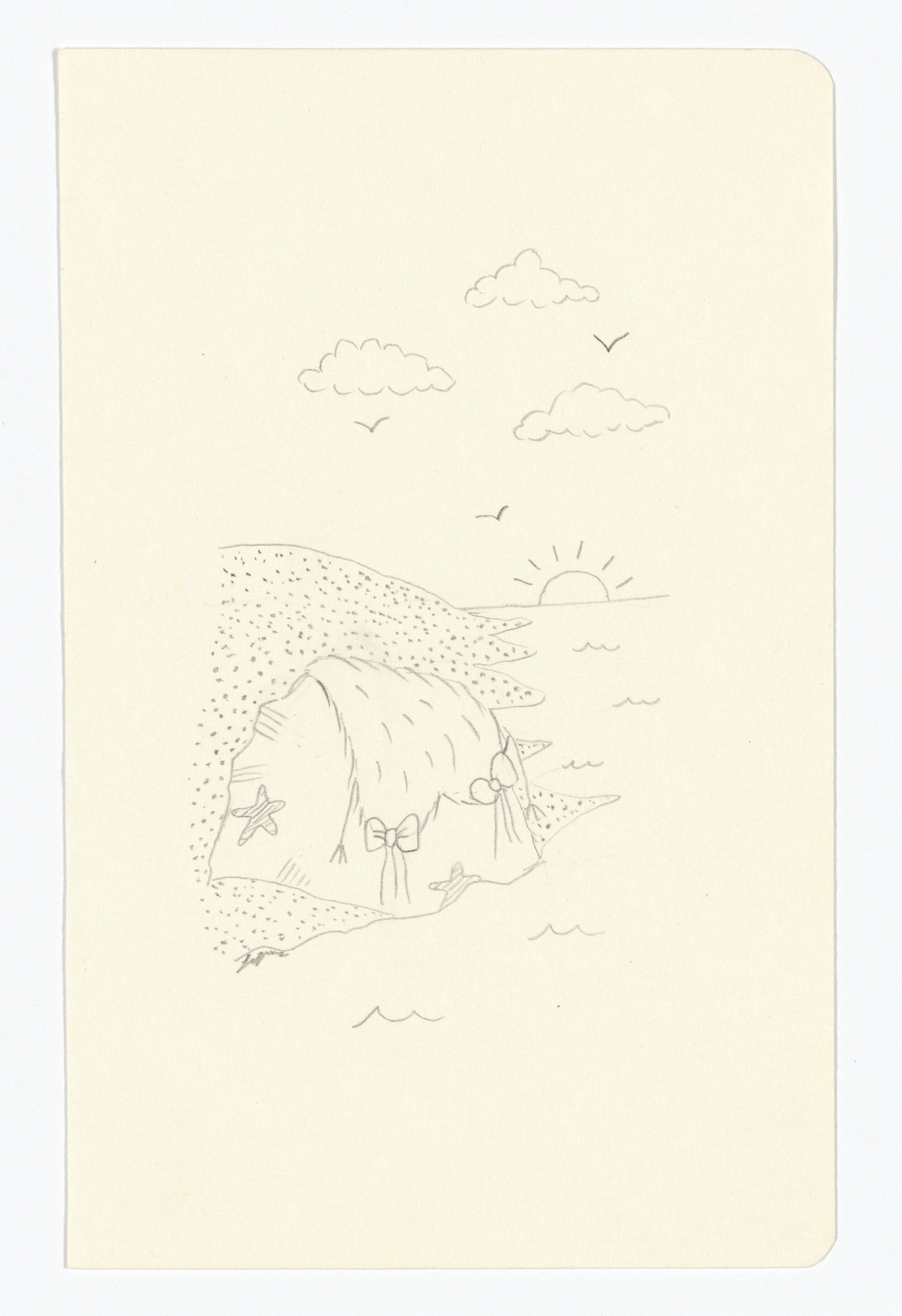 Fernanda Laguna. Untitled from The Moleskine Series
