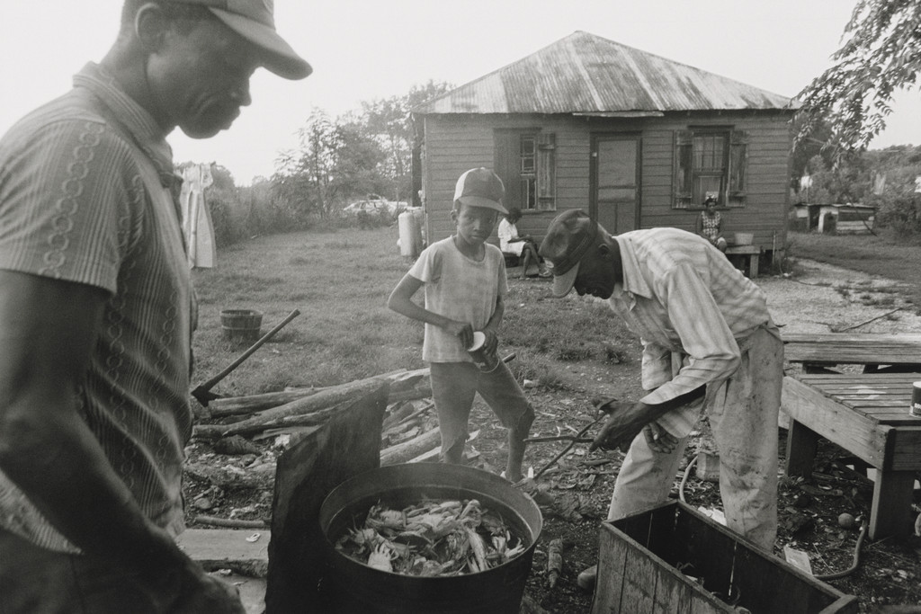 Boiling Crab, Daufuskie Island, South Carolina