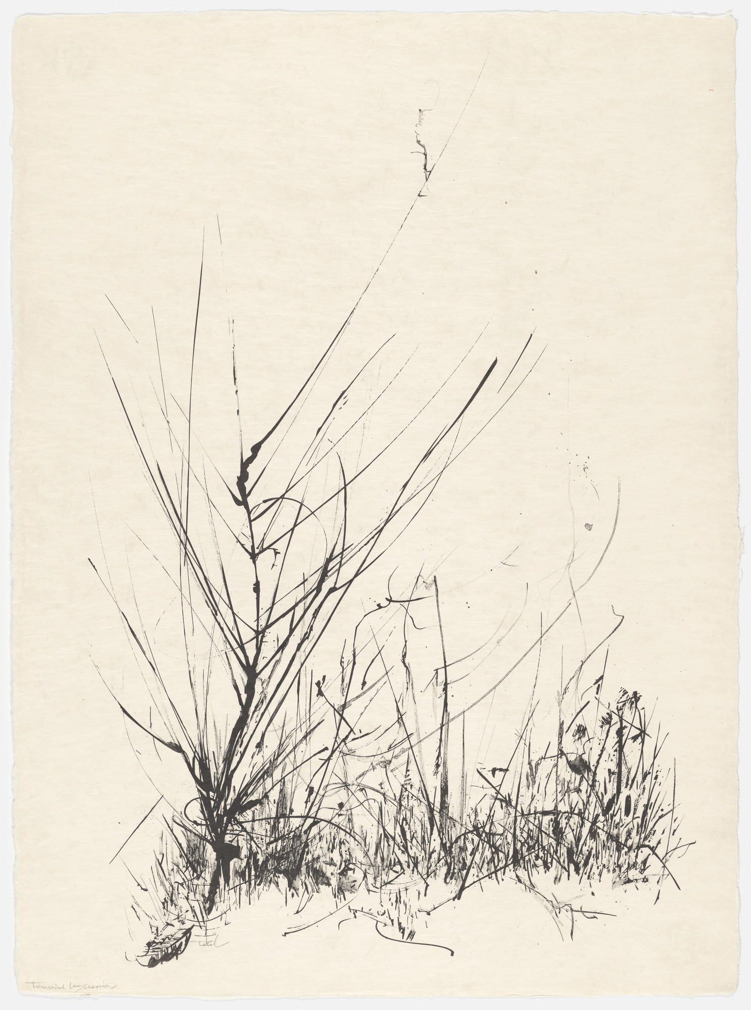 Peter Takal. Winter Weeds from the portfolio Of Nature, Of Man