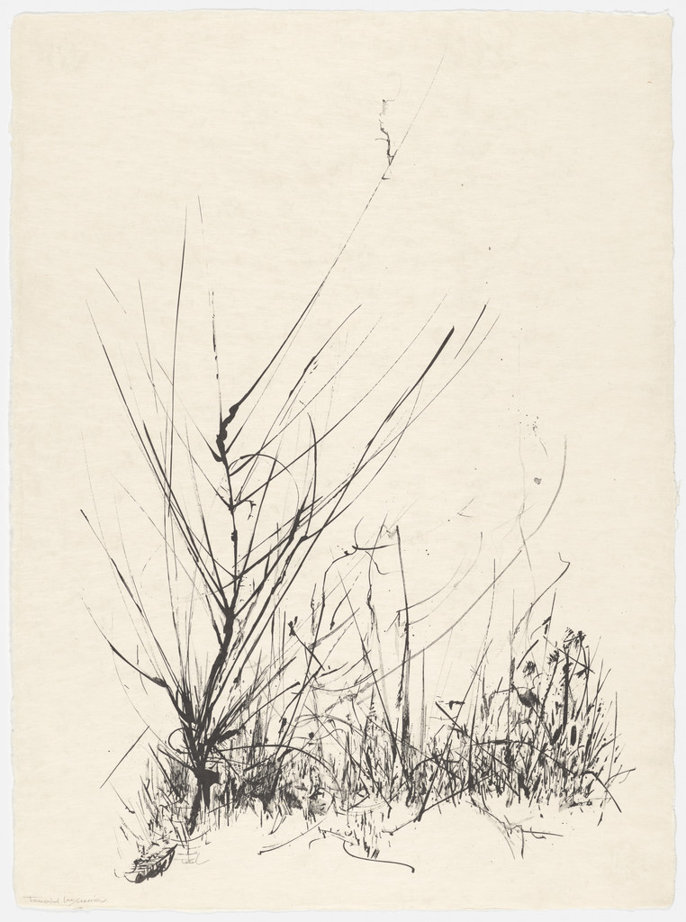 Winter Weeds from the portfolio Of Nature, Of Man