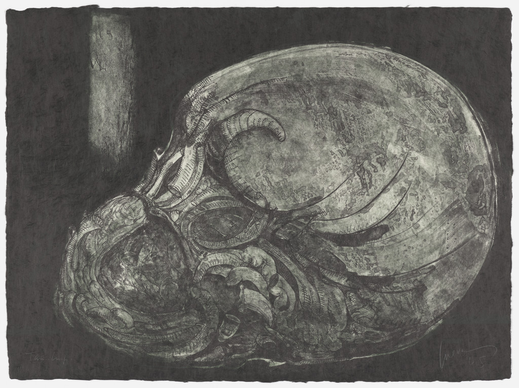 Worm Pit (plate 12) from Charenton