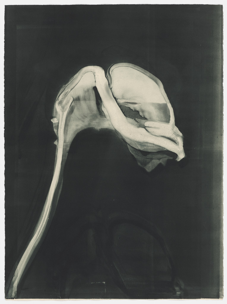 Untitled (I) from Six Gestures of the Calla