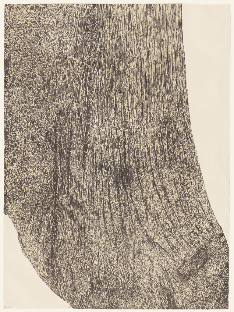 Wood from the portfolio Of Nature, Of Man