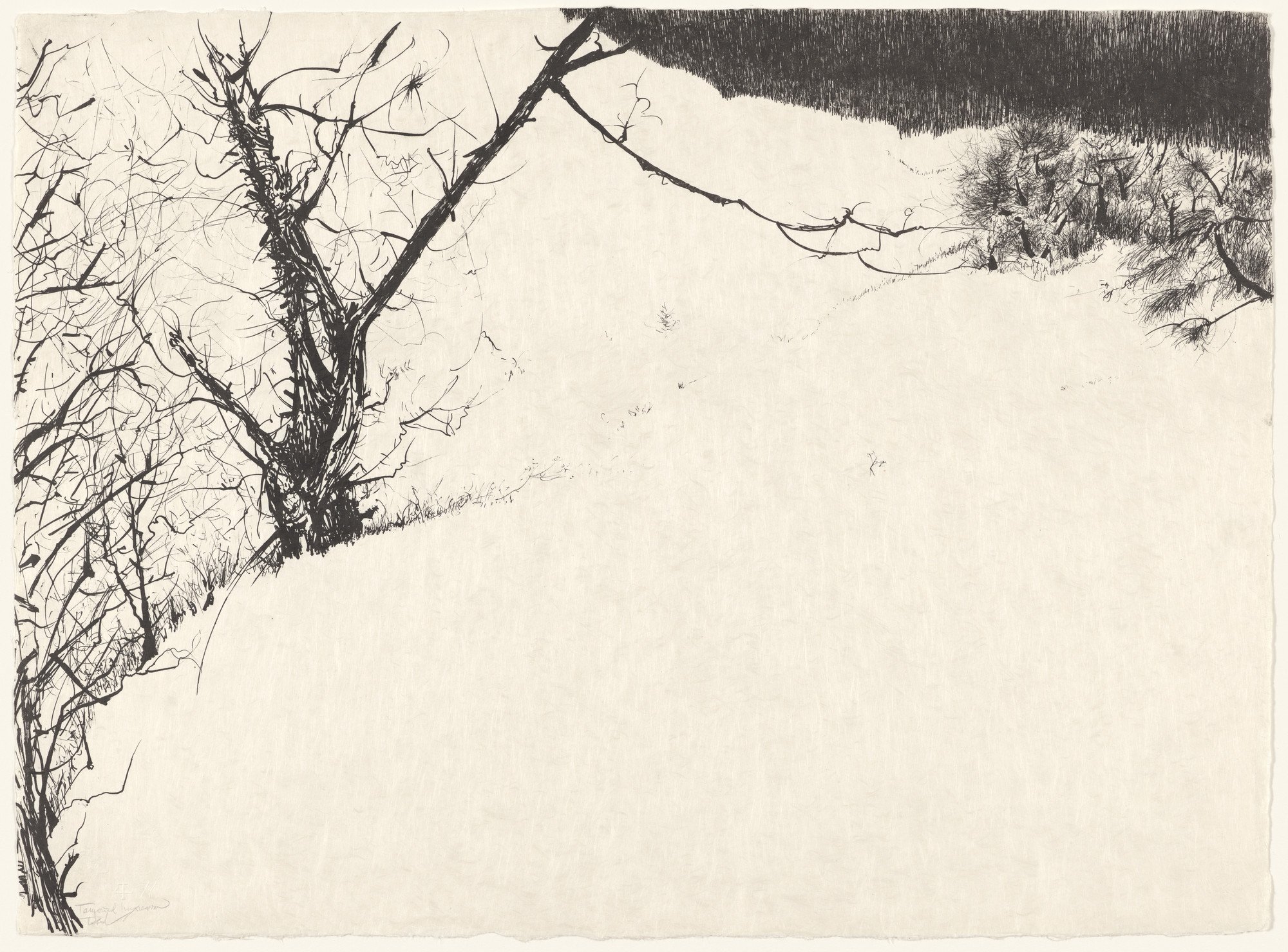 Peter Takal. Snow Fields from the portfolio Of Nature, Of Man