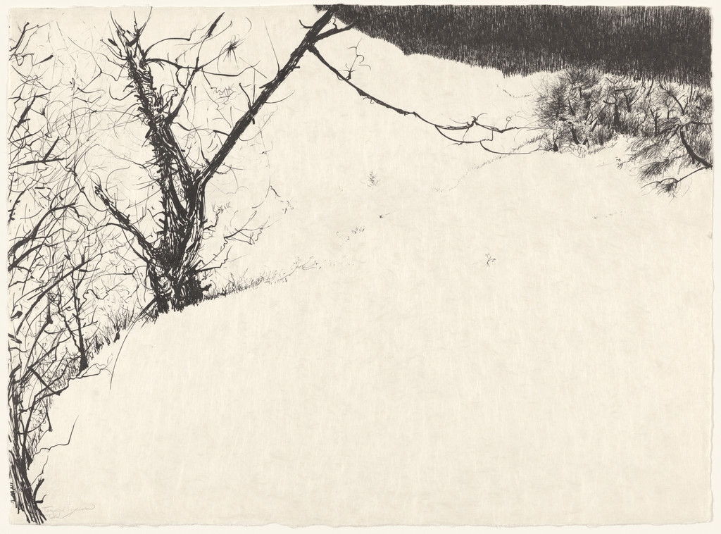 Snow Fields from the portfolio Of Nature, Of Man