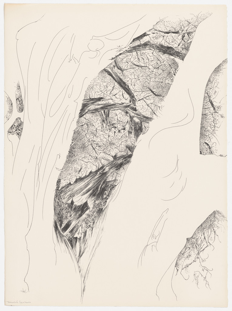 Tree Opening from the portfolio Of Nature, Of Man