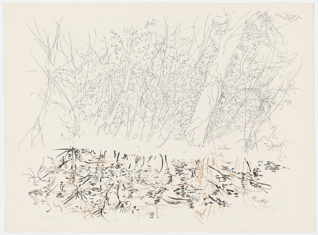 Autumn Lake from the portfolio Of Nature, Of Man, Peter Takal, 1964