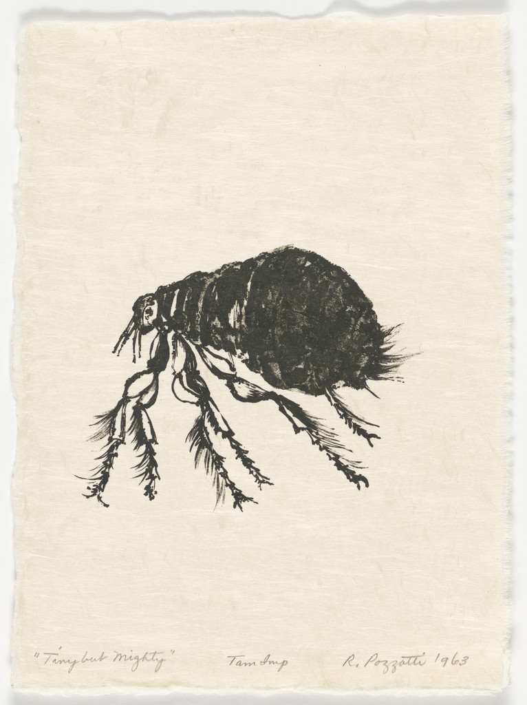 Tiny but Mighty from the portfolio Bugs