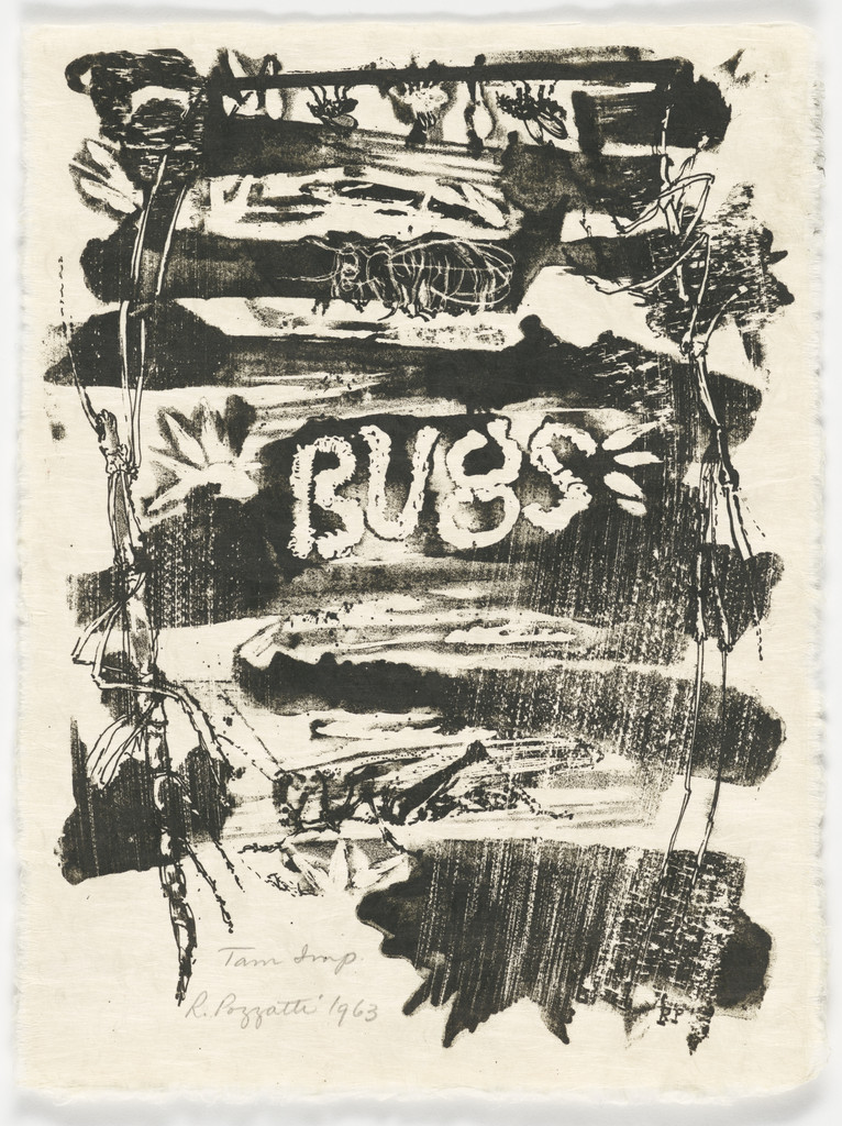 Title page from the portfolio Bugs