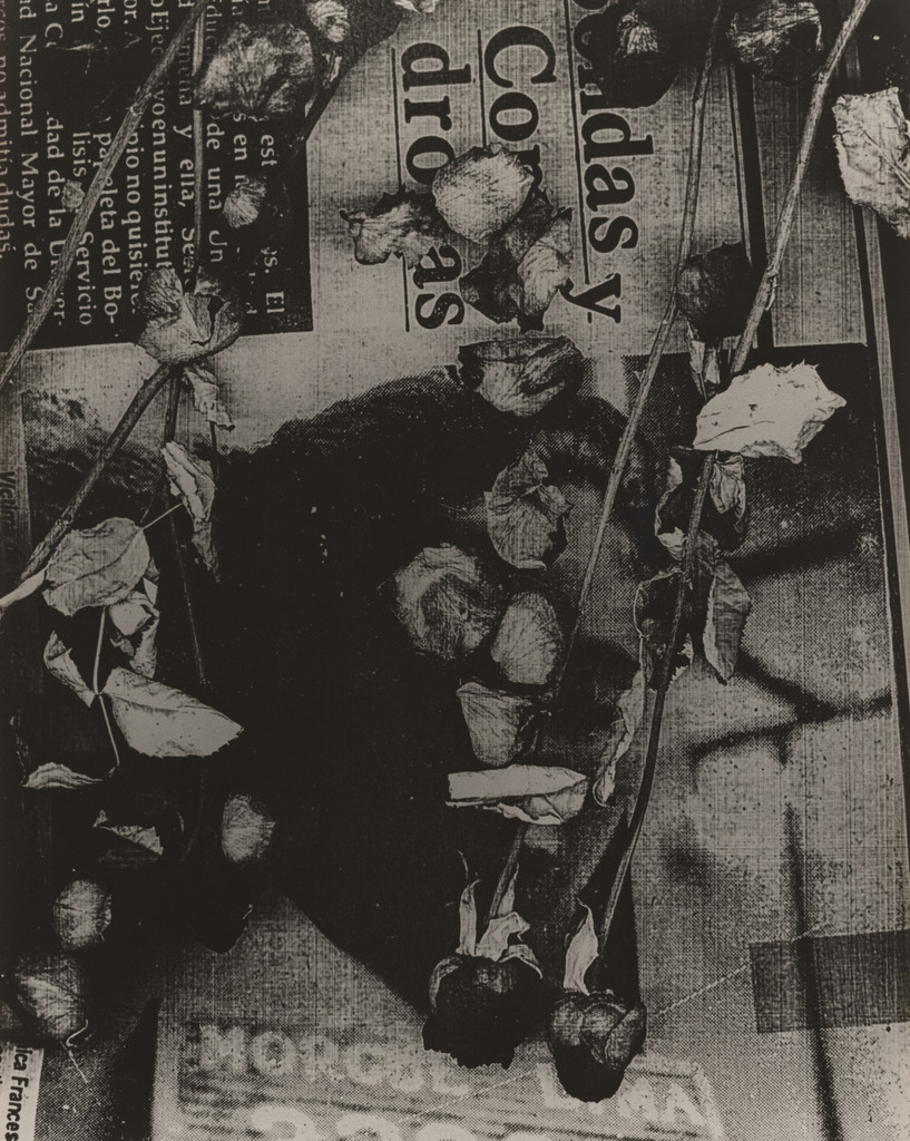 Elegy of Milk (An Offering to Sarita Colonia)