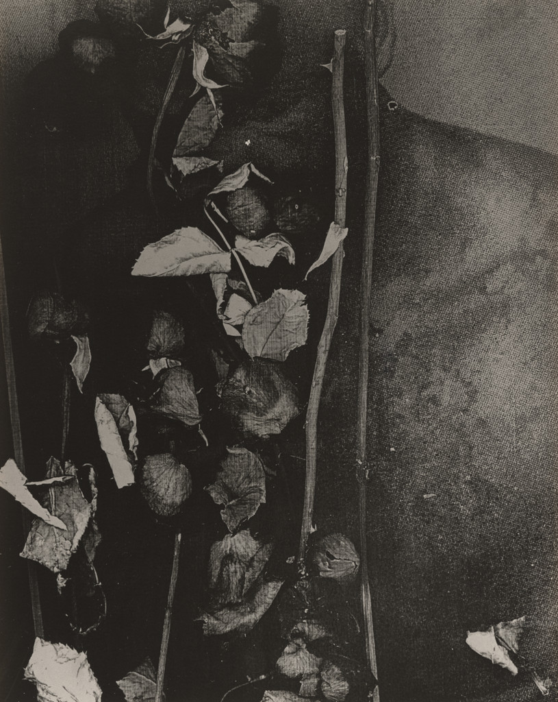 Elegy of Milk (An Offering to the Father)