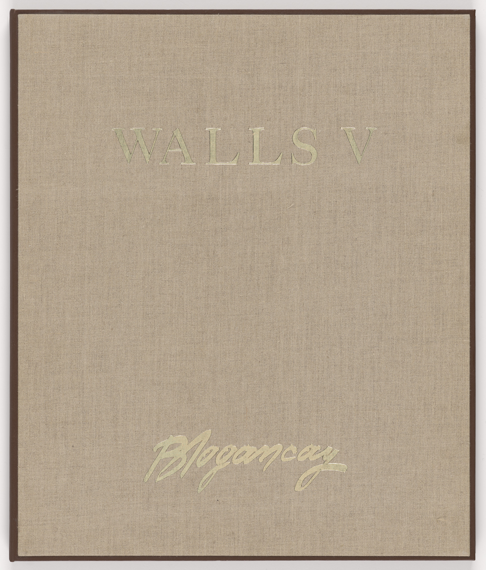 Burhan Dogancay. Walls V