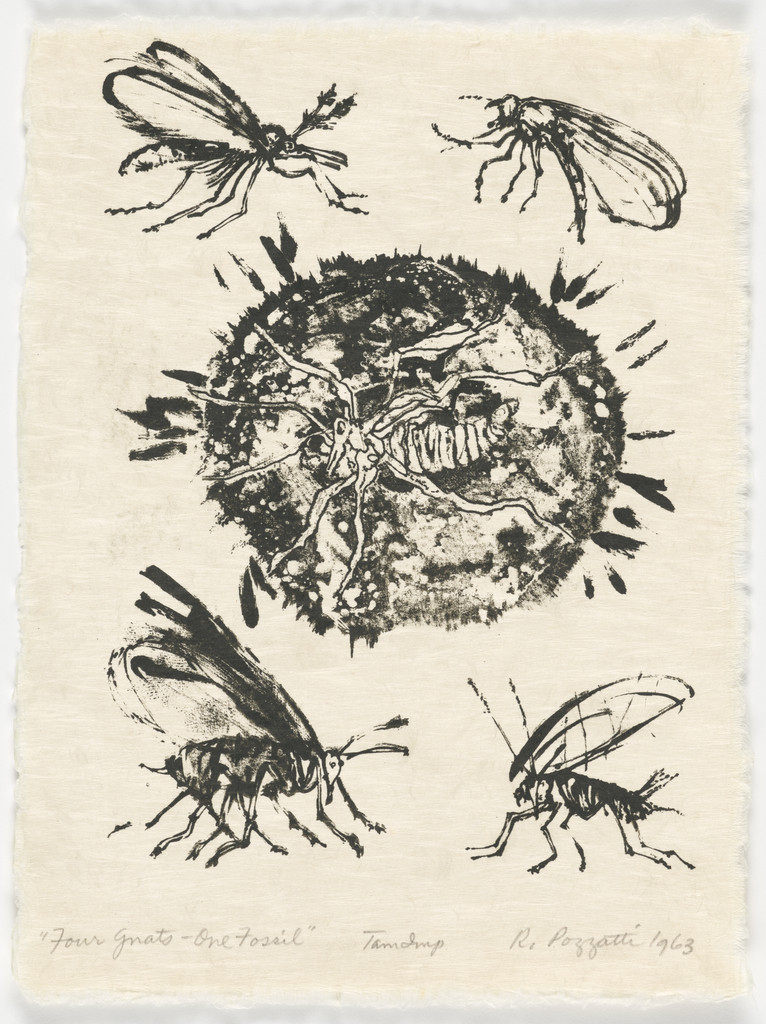 Four Gnats, One Fossil from the portfolio Bugs