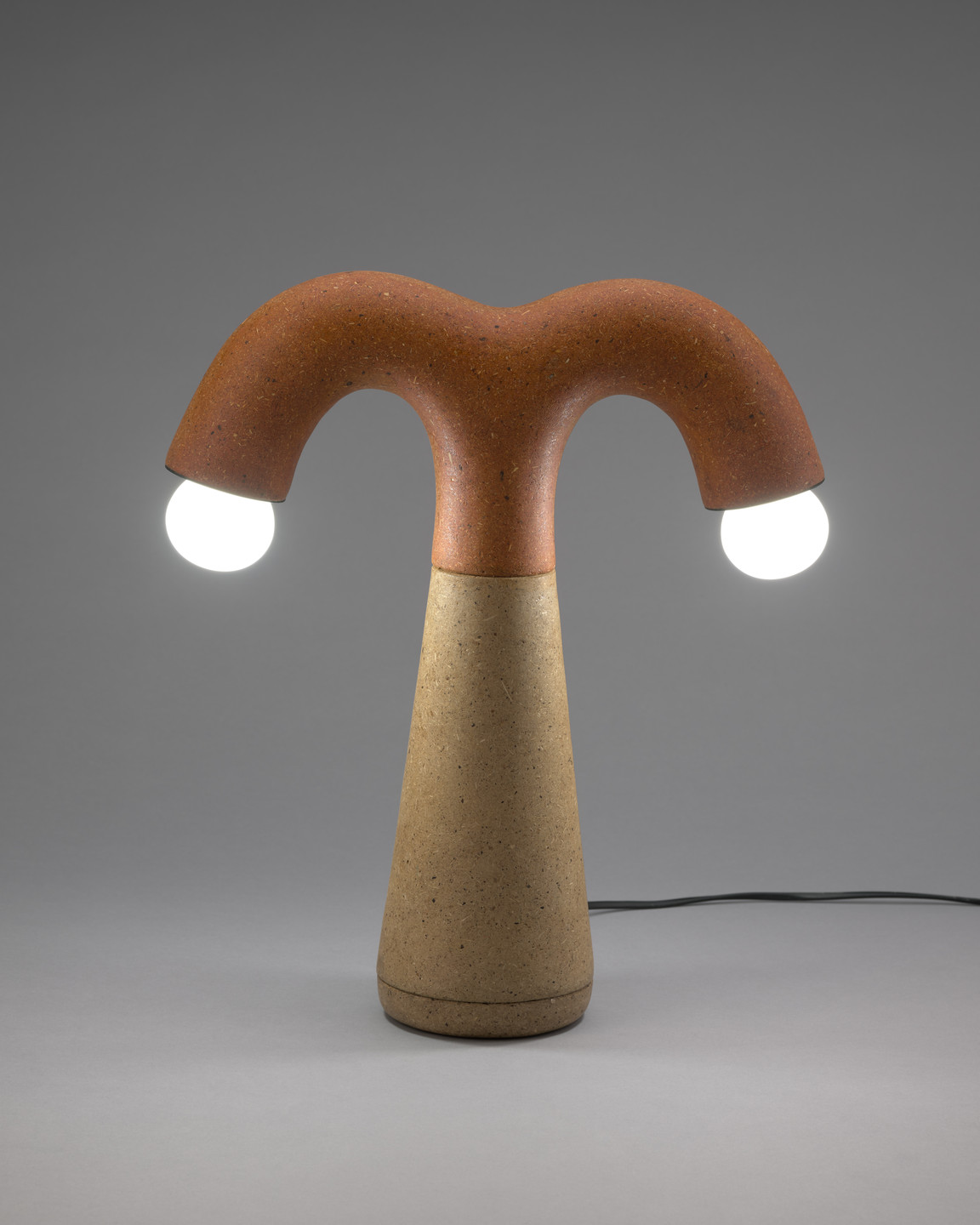 Adhi Nugraha. Cow Dung Lamp 1. 2021