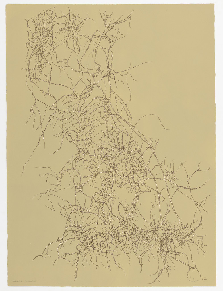 Winter Vine from the portfolio Of Nature, Of Man