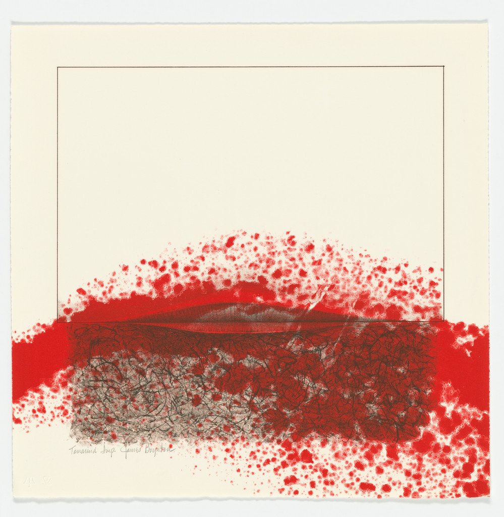 Bleed Image from the series Packaged Horizon