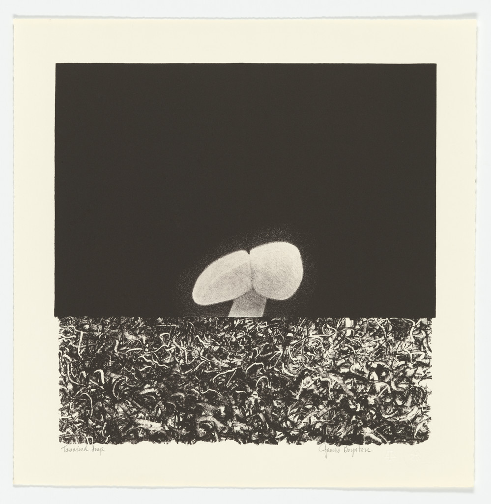 Adam from the series Packaged Horizon