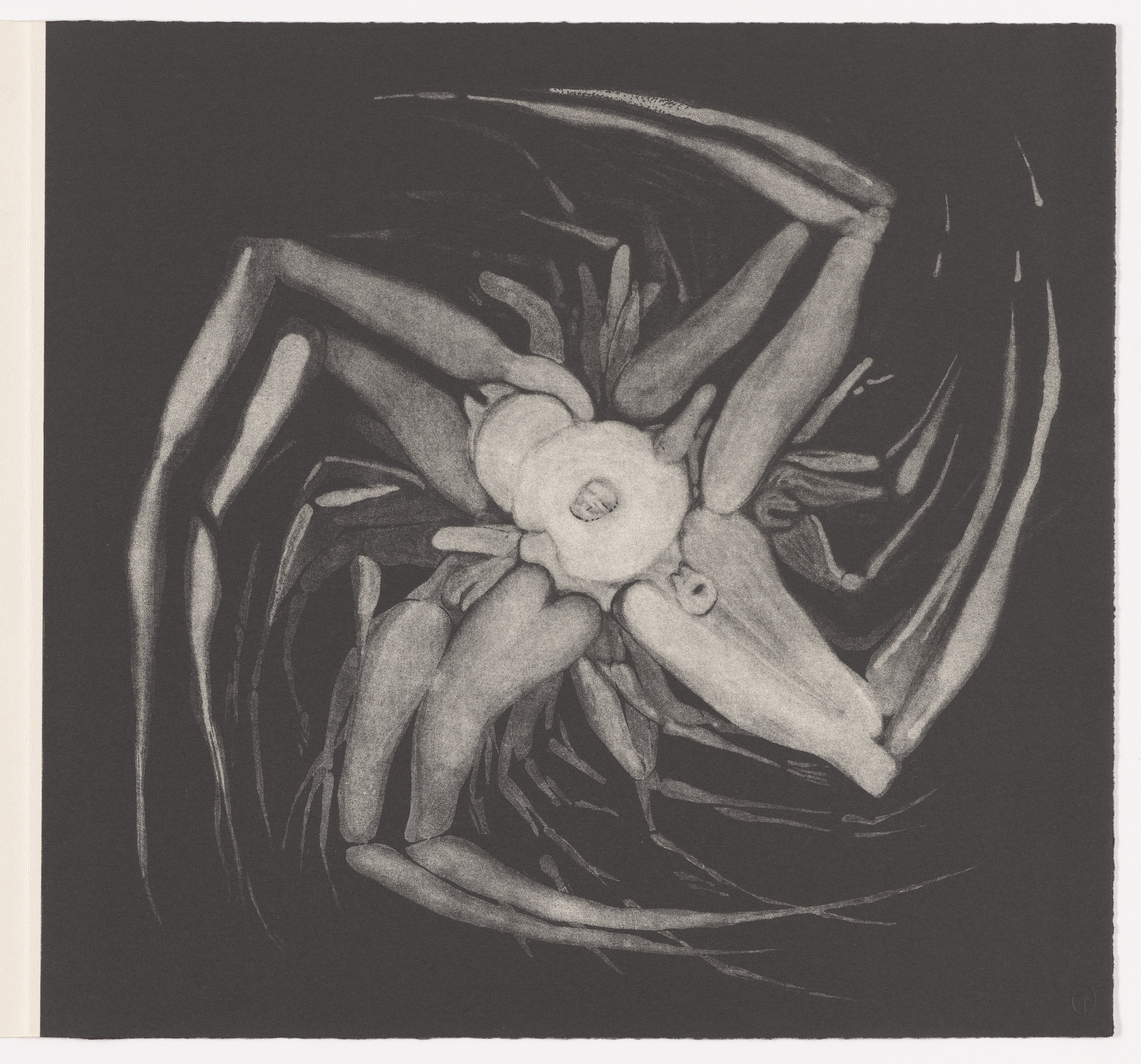 Robert Hansen. Double page plate (pages 38 and 39) from Selections